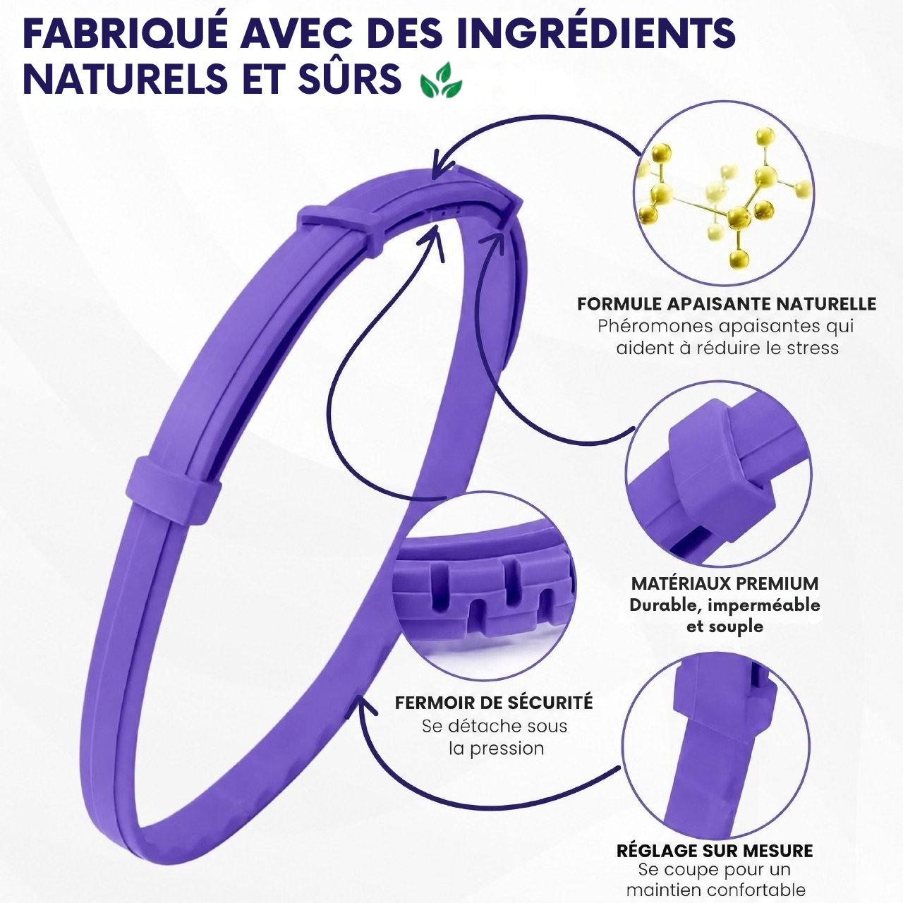 Détail du fermoir de sécurité