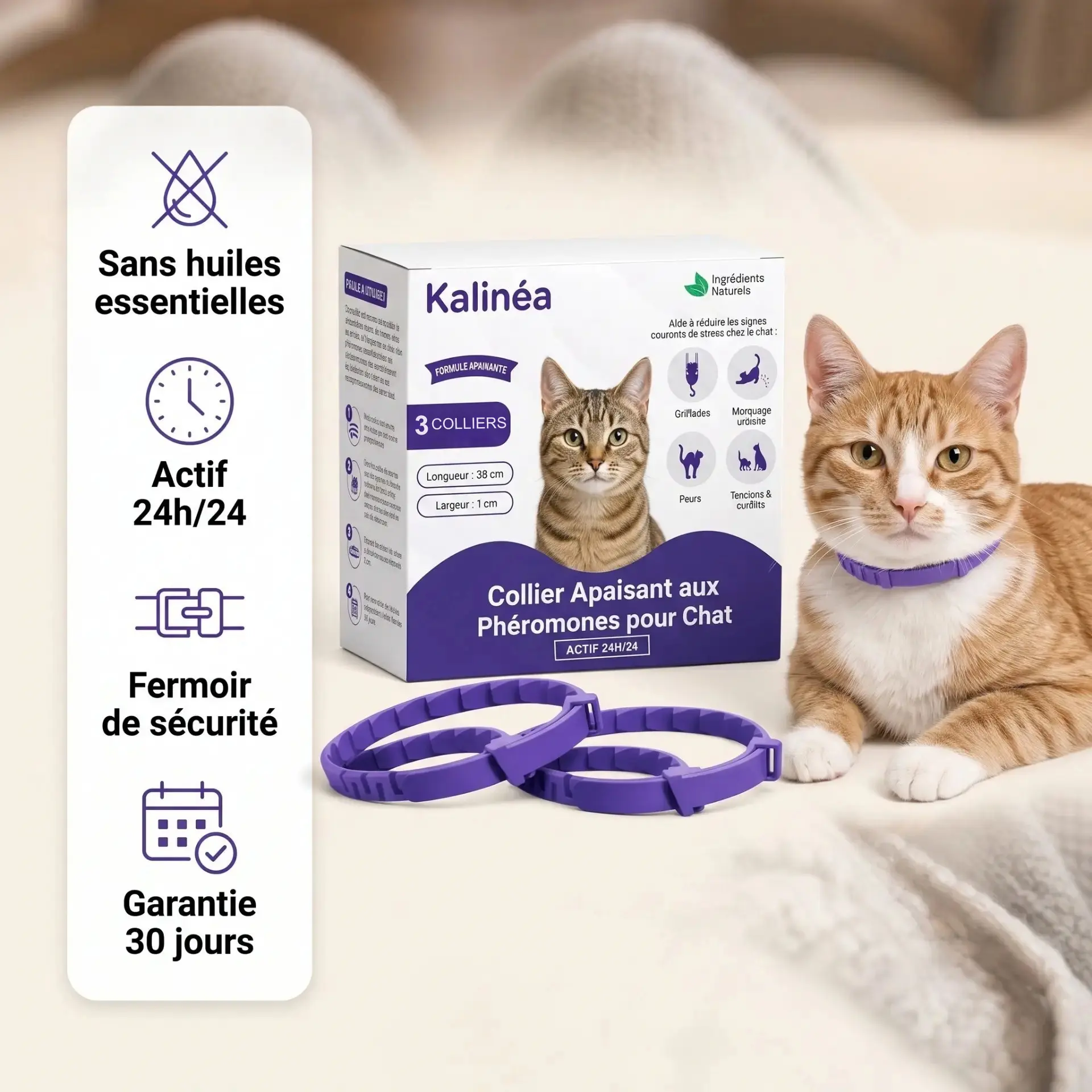Coffret Kalinéa avec deux colliers apaisants violets et un chat roux portant le collier